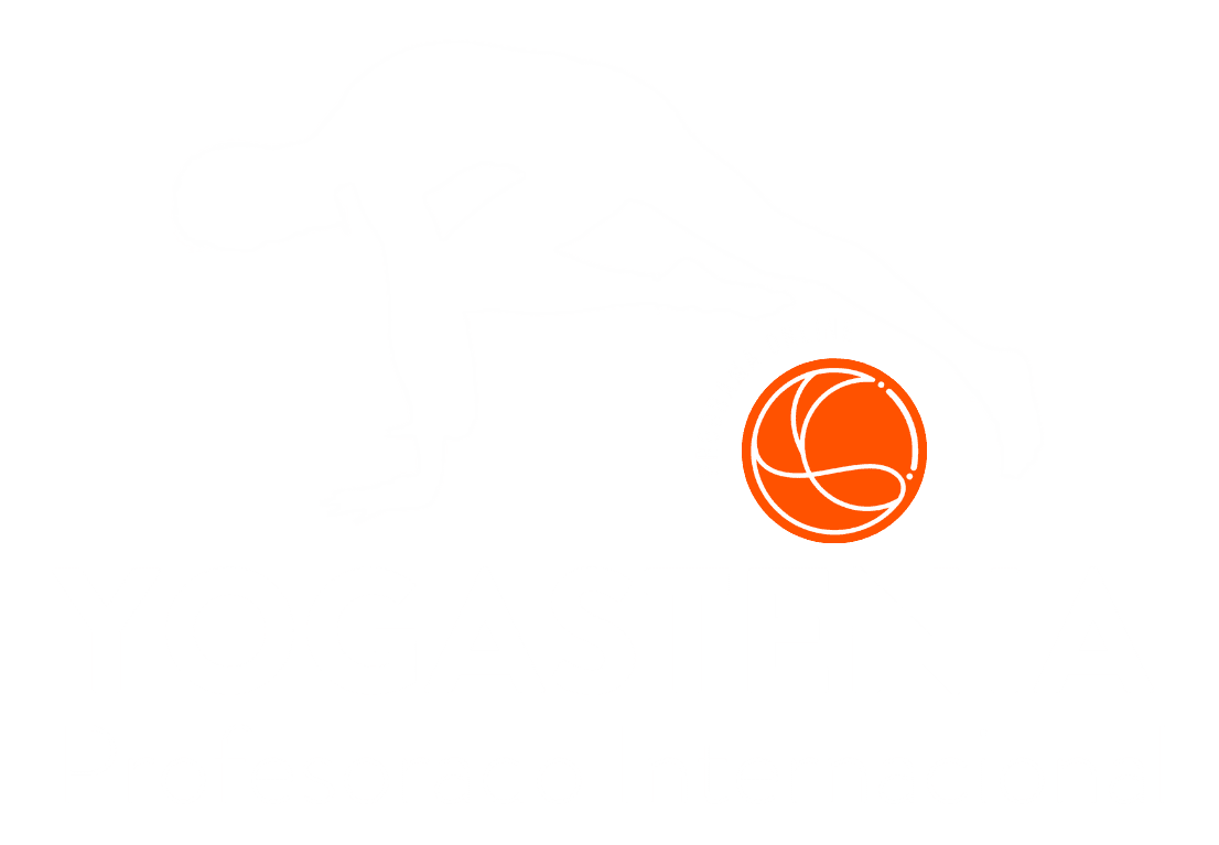 Yogastenia (4)